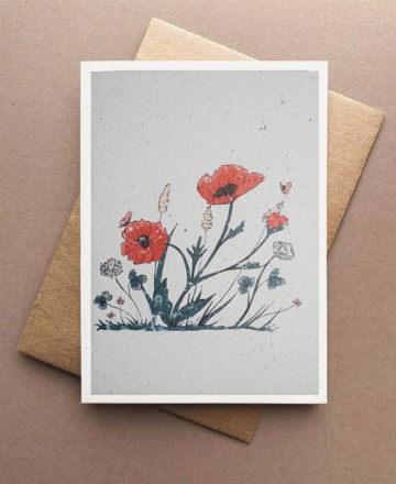 GroWishes Mohnblumen